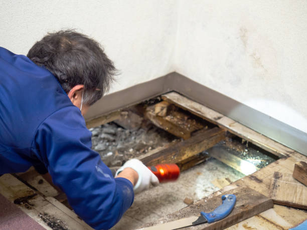 Best Bathroom Mold Remediation in Muskego, WI