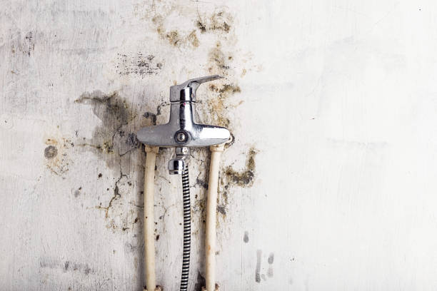 Best Post-Flood Mold Remediation in Muskego, WI