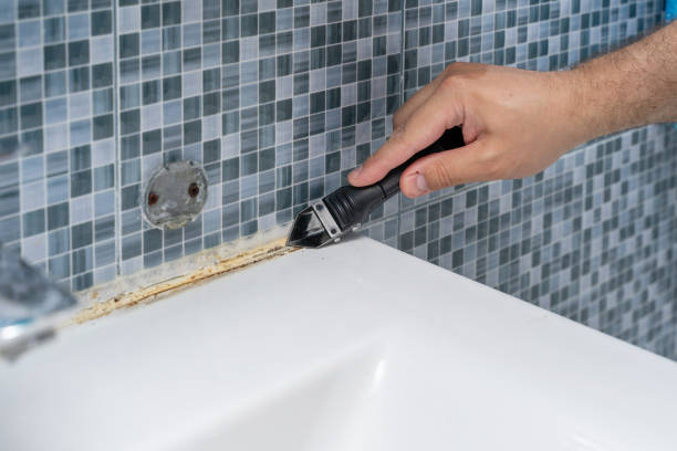 Best Preventive Mold Services in Muskego, WI