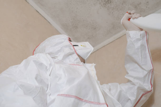 Muskego, WI Mold Remediation Company